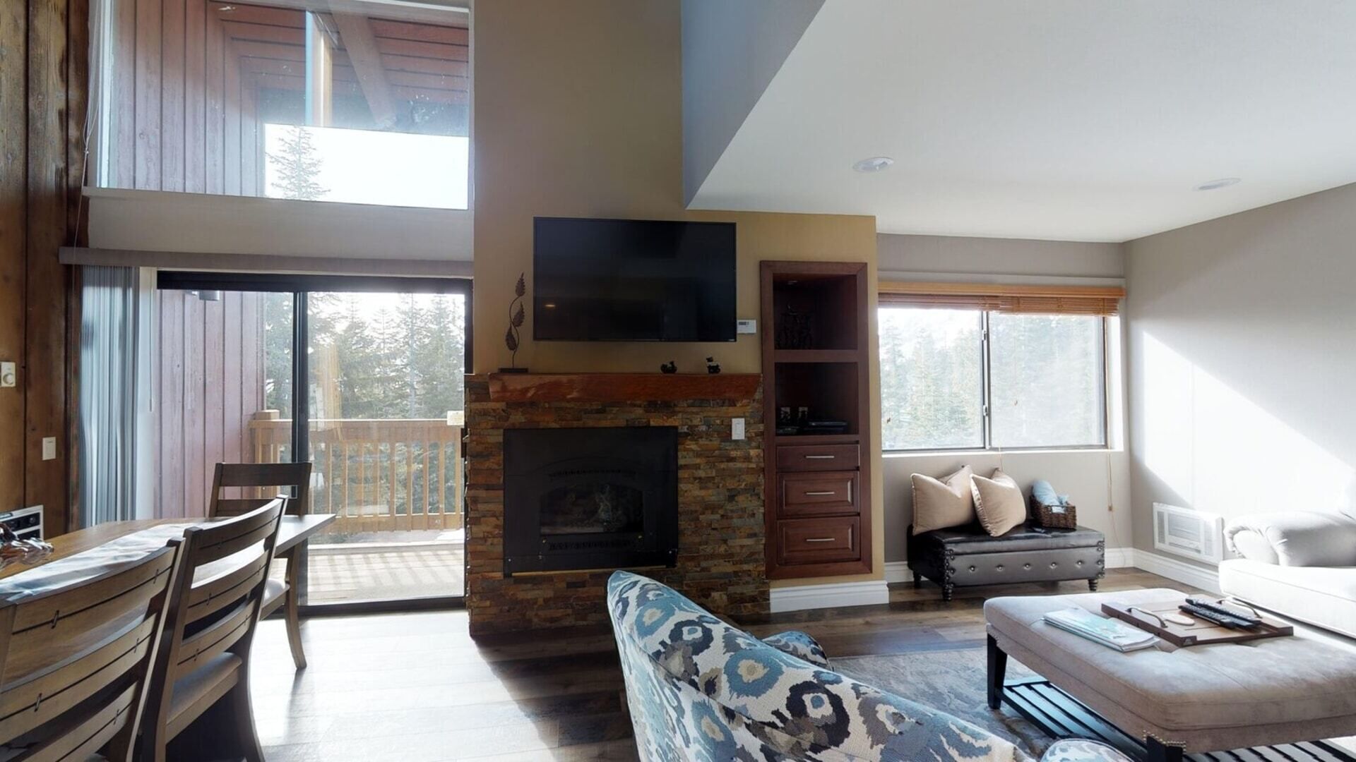 电视、壁炉、DVD 播放器、书