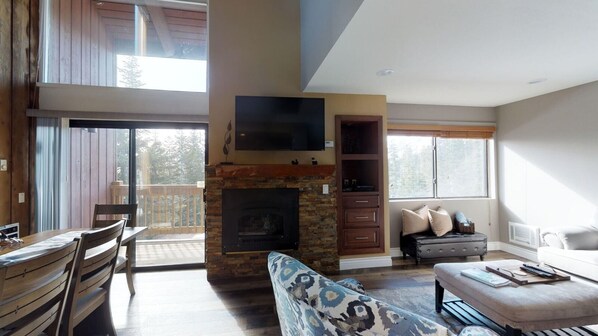 テレビ、暖炉、DVD プレーヤー、書庫