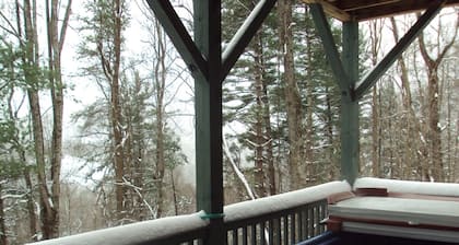 Amazing 3-Story Log Cabin w/Jacuzzi, Loft, Pool & Ping Pong Table/Wi-Fi Sleep 10