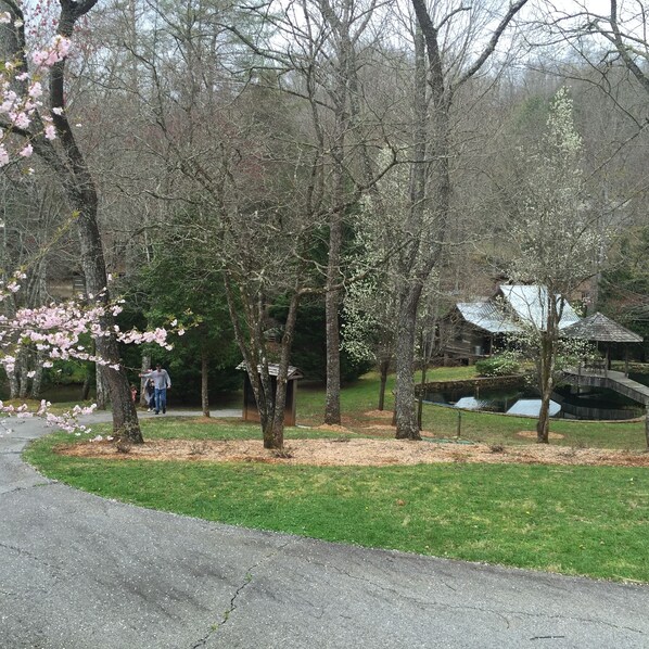 A park with cherry blossoms, a pond, and a gazebo.