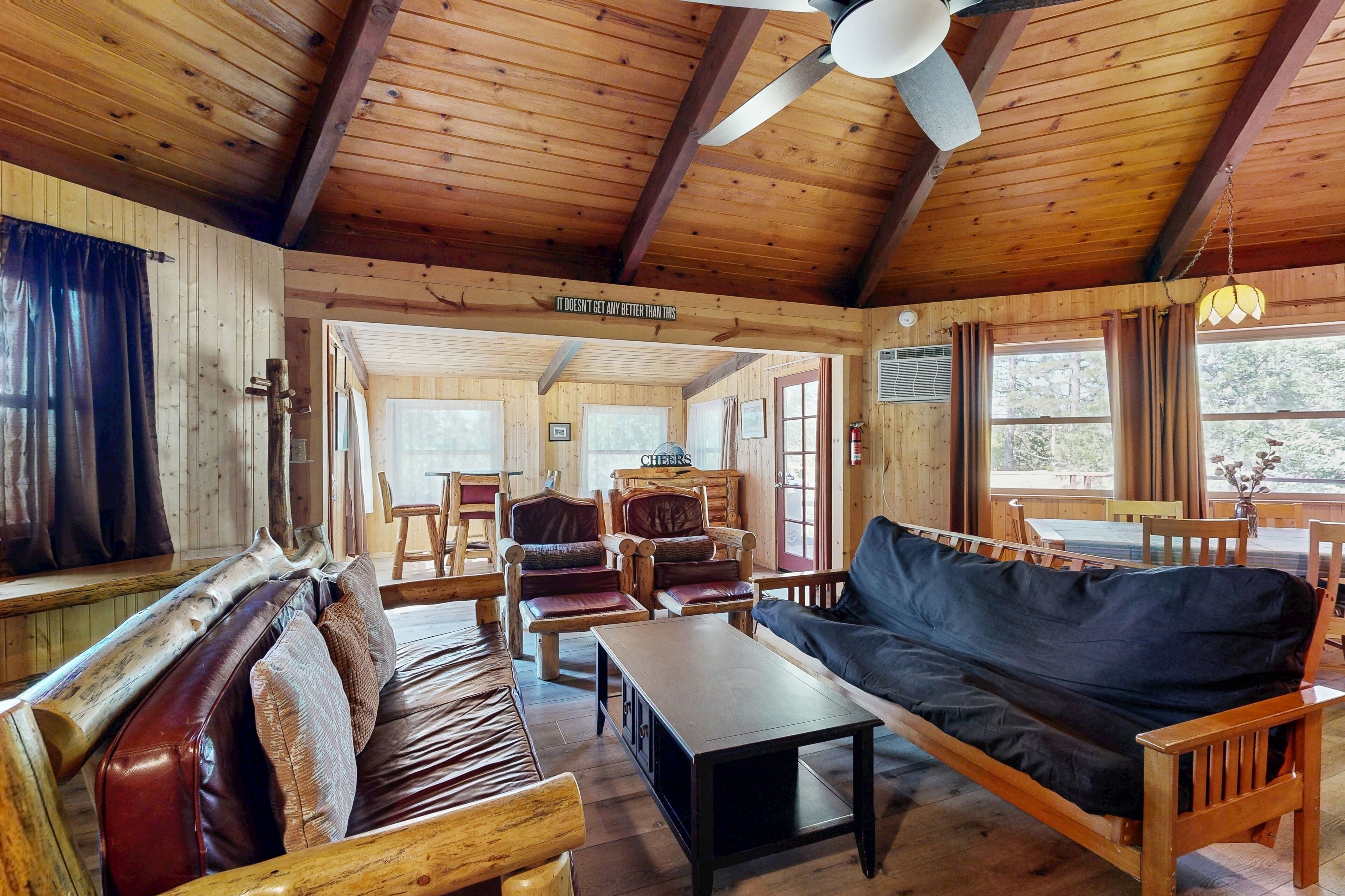 TV, fireplace, DVD player, video library