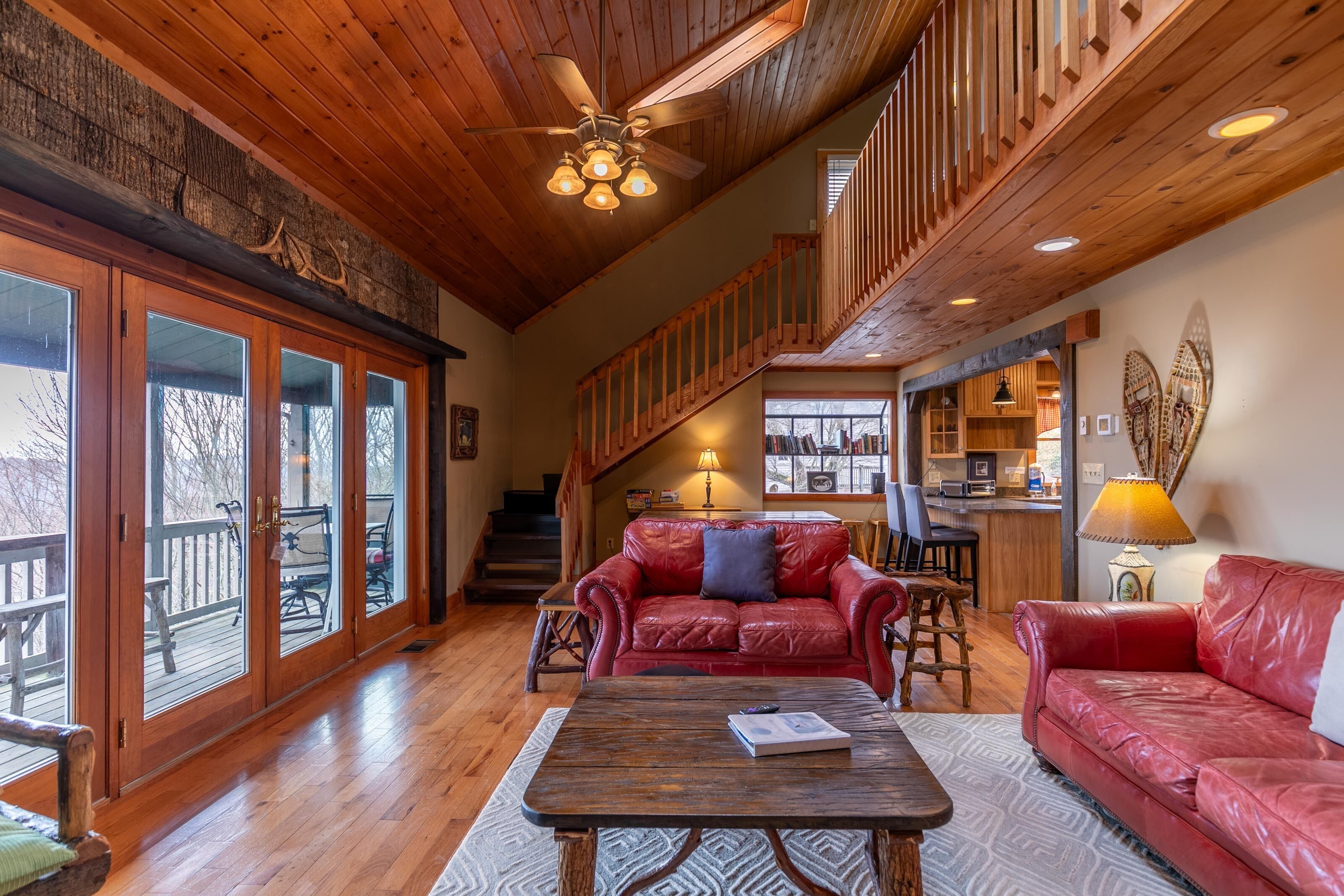 Télévision, cheminée, lecteur de DVD, table de tennis de table