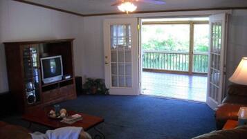 Smart TV, fireplace, DVD player, books