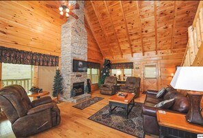 Smart TV, fireplace, DVD player, books