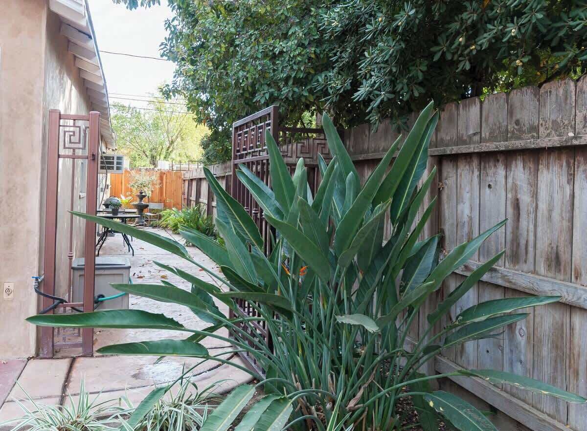 A garden with a wooden fence, a gate, and various plants.