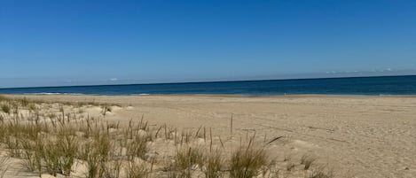 Ligstoelen aan het strand