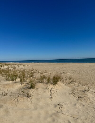 Steps to Bethany Beach, Kayak Bay access, crabbing, pool, and beautiful views