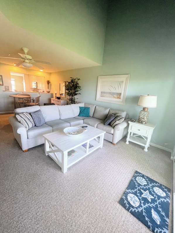 TV, fireplace, DVD player, books