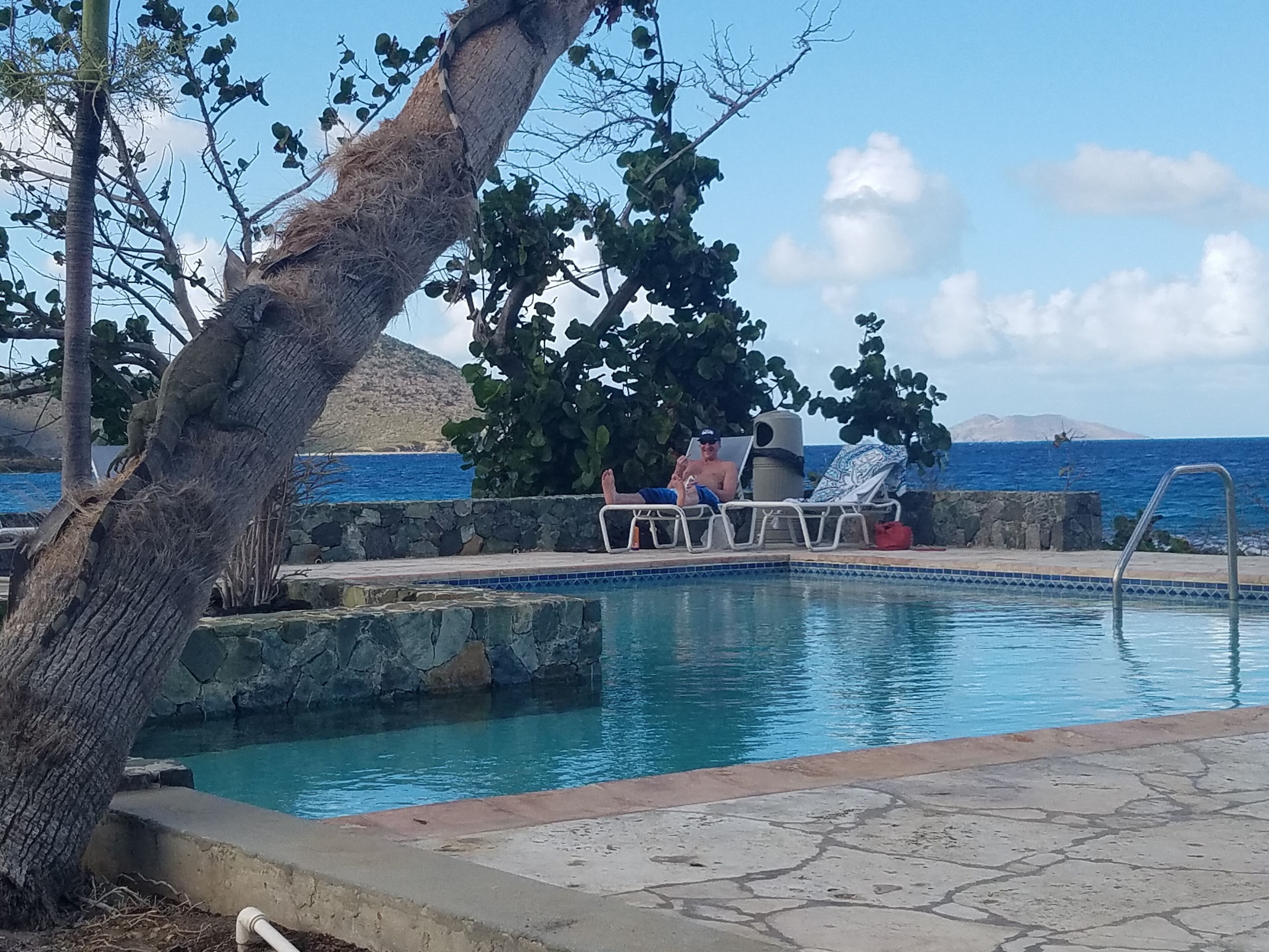 Un espace piscine agrémenté d’un mur en pierre, d’un arbre et offrant une vue sur l’océan.