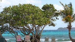 Una playa con dos sillas de playa bajo un árbol grande, con vista a aguas turquesas.