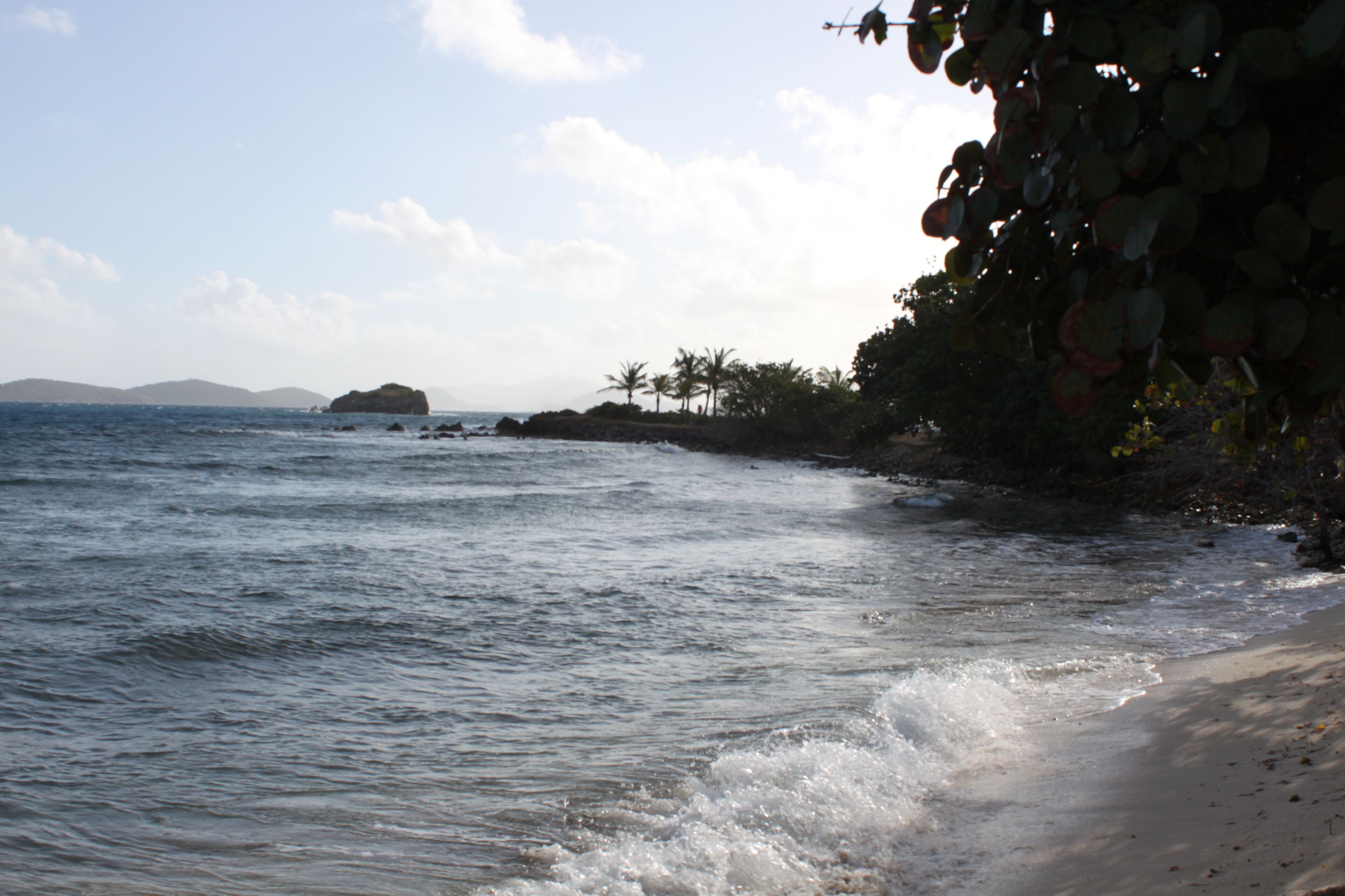 Ein Strand mit Wellen, Palmen und fernen Inseln.