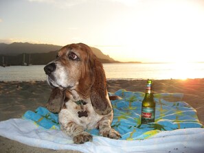 Beach towels