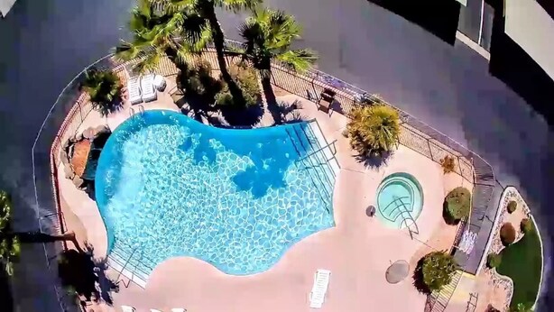 Vista aérea de una piscina rodeada de palmeras y sillas de descanso.