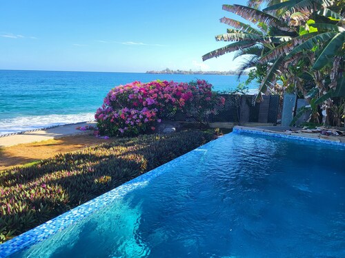 Birdie's Nest holiday apartments are a gem, tucked away beside the beach.