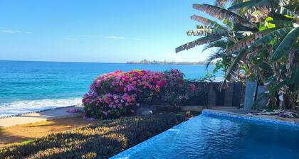 Birdie's Nest holiday apartments are a gem, tucked away beside the beach.