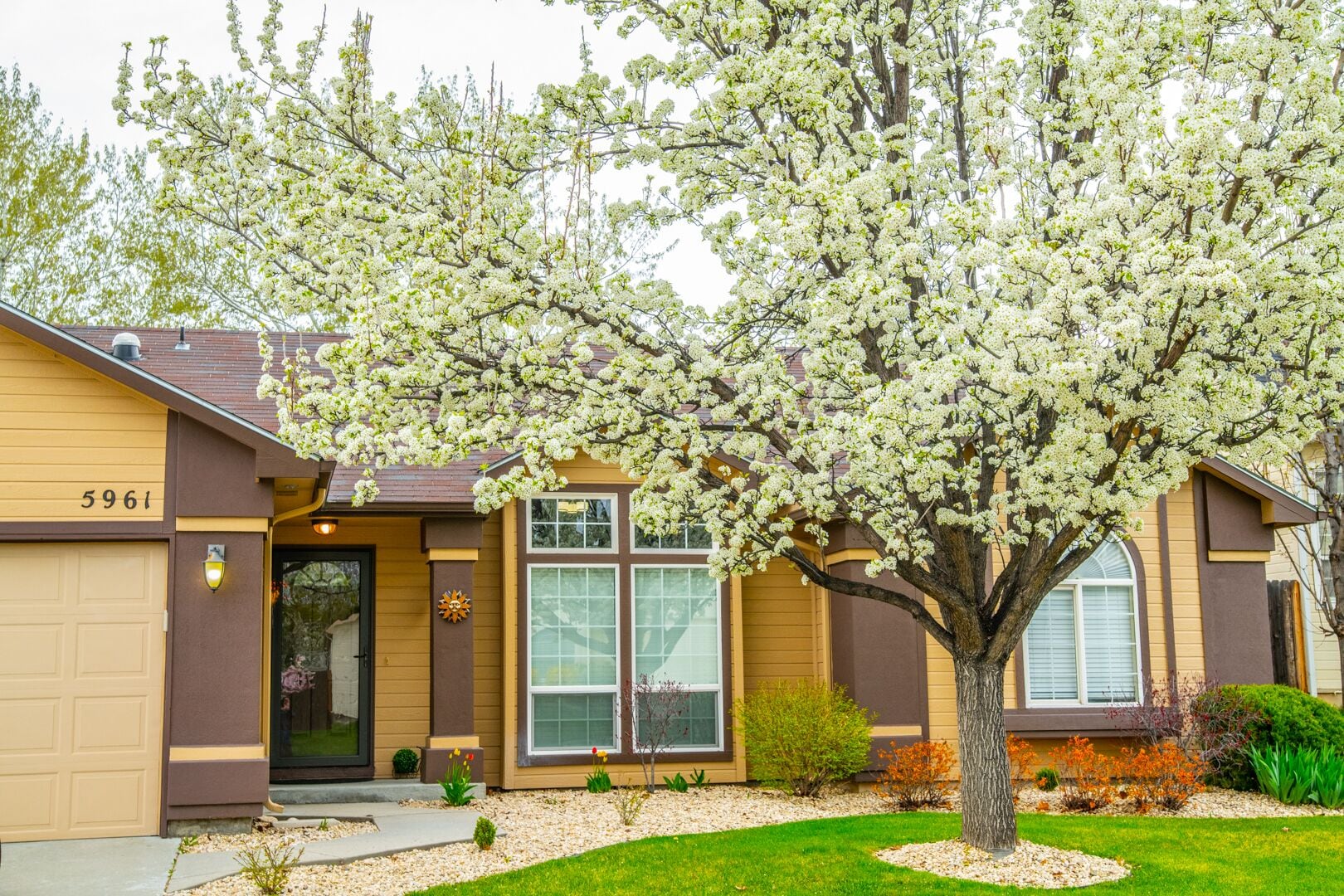 BOISE BICYCLE COTTAGE - Enjoy  Foothills, close to Boise River & Downtown