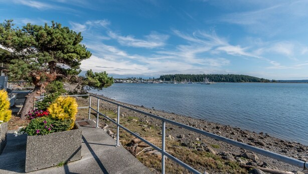 A waterfront promenade with a stone pathway, metal railing, and a row of trees. - Cute, Cozy & Comfortable Cottage Conveniently Located In The Heart Of Town.  (Oak Harbor)