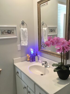 Shower, jetted tub, hair dryer, towels - Beach Front Sleeps 10 Walking distance to everything (St. George Island)