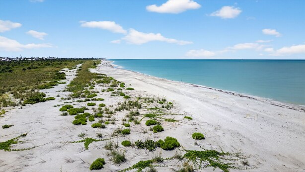Una playa con vegetación escasa y cielo despejado.