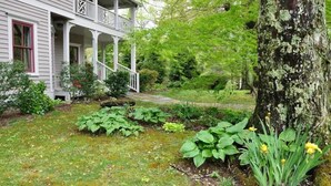 A house with a porch, surrounded by lush greenery and a tree with moss. - Walk to Main *Outdoor Games* Pet Friendly* Fairy Trail (Saluda)