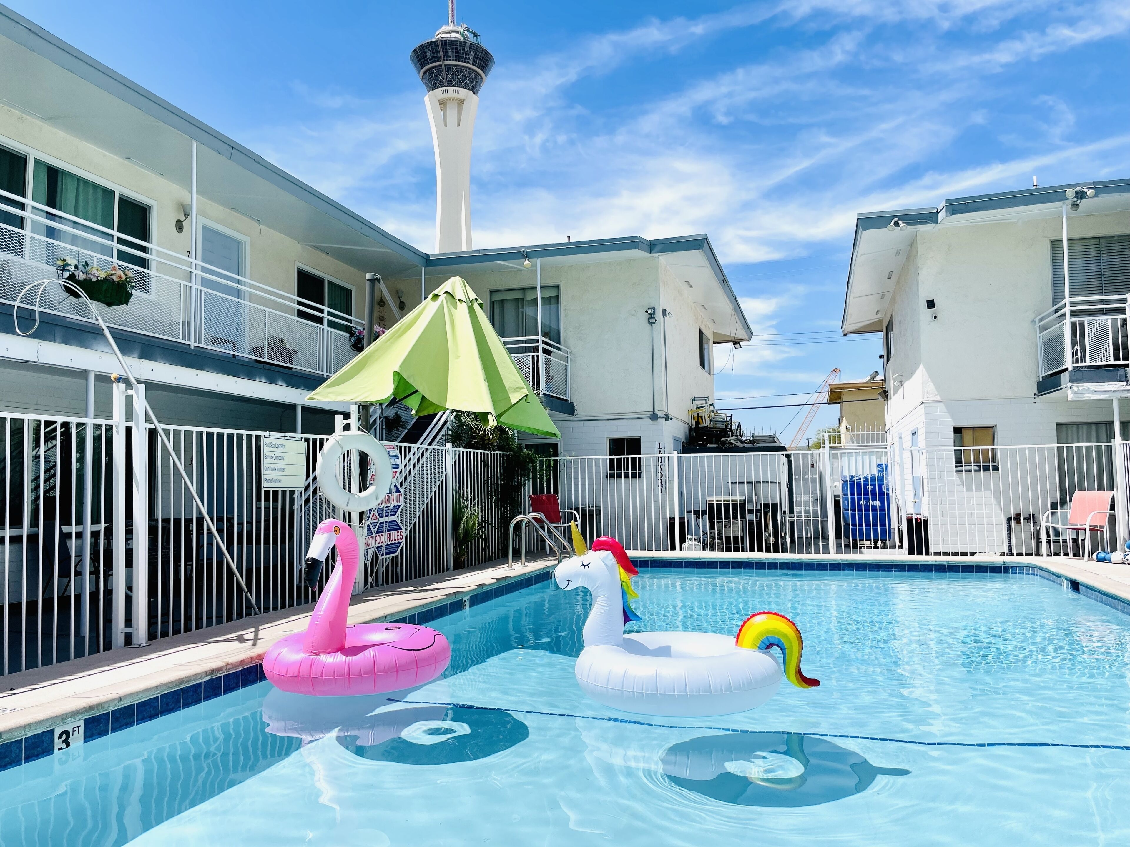 A swimming pool with inflatable swan and flamingo floats, a covered patio area, and a view of a tower in the background.