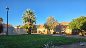 Un barrio residencial con césped cuidado, una palmera y una casa con techo de tejas.