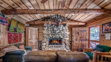 Televisión, chimenea y reproductor de DVD