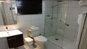 Combined shower/tub, hair dryer, towels, soap