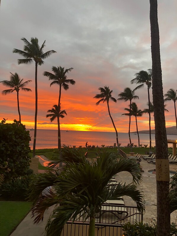 A sunset view with palm trees and a pool area.