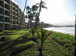 A beachfront hotel with a pool, palm trees, and a view of the ocean.