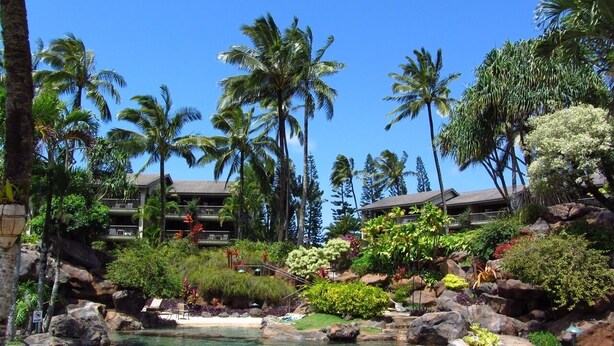 A resort pool area with clear water, surrounded by palm trees and various tropical plants.