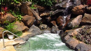 A hot spring with a metal ladder leading into the water, surrounded by rocks and plants.