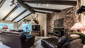 Télévision, cheminée, lecteur de DVD, vidéothÚque