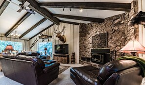 TV, caminetto, lettore DVD, videoteca