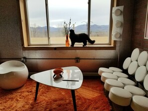 Interior - The Container-minium ~ at The Tortoise   and The Mare. Peaceful or playful! (Sumner)