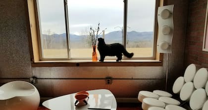 ¡Súper sexy, envío de contenedores a casa! Excelentes vistas a la montaña!