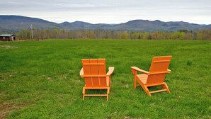 Two orange Adirondack chairs in a grassy field with a mountain range in the background. - Super Fun Shipping Container Home! Spacious and Stylish! (Sumner)