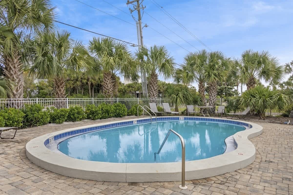 A swimming pool with a curved edge, surrounded by palm trees and a metal fence.