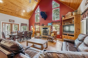 Televisor, llar de foc i reproductor de DVD 