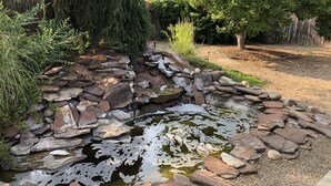 Ein Gartenteich mit Steinrand, umgeben von Bäumen und einem Holzzaun.