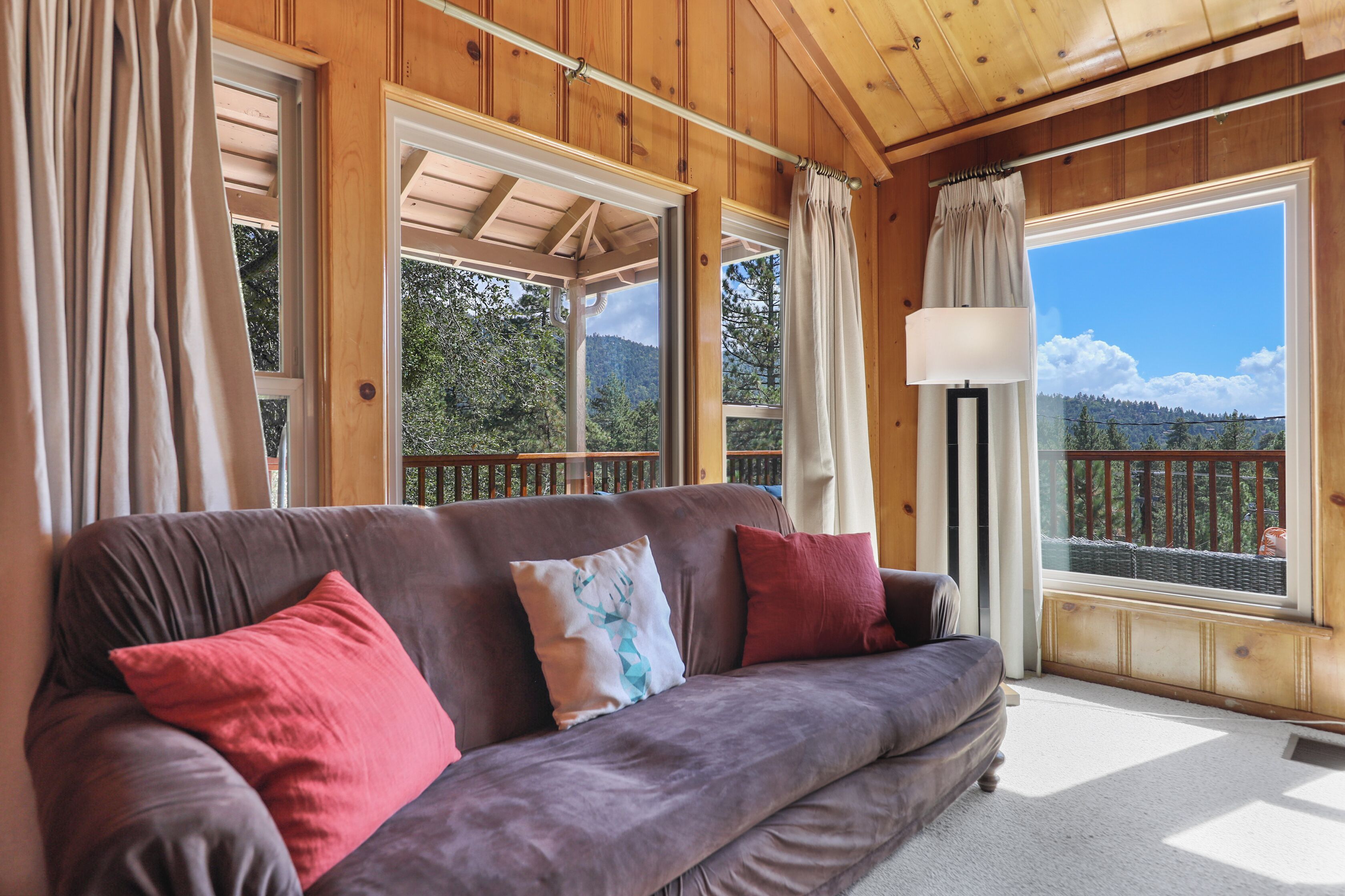 TV connectée, cheminée, lecteur de DVD, livres