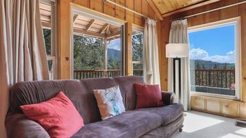 TV connectée, cheminée, lecteur de DVD, livres