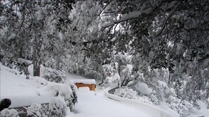 A snow-covered landscape with trees and a curved pathway. - Historic Author's Lodge- Hot Tub as Featured in San Diego Magazine Walk to town. (Idyllwild)