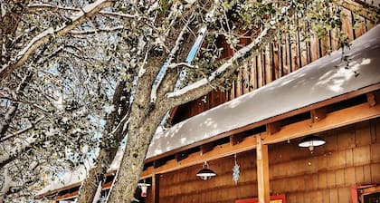 Historic Writers Lodge w/spa as featured in San Diego Magazine. Walk to town.