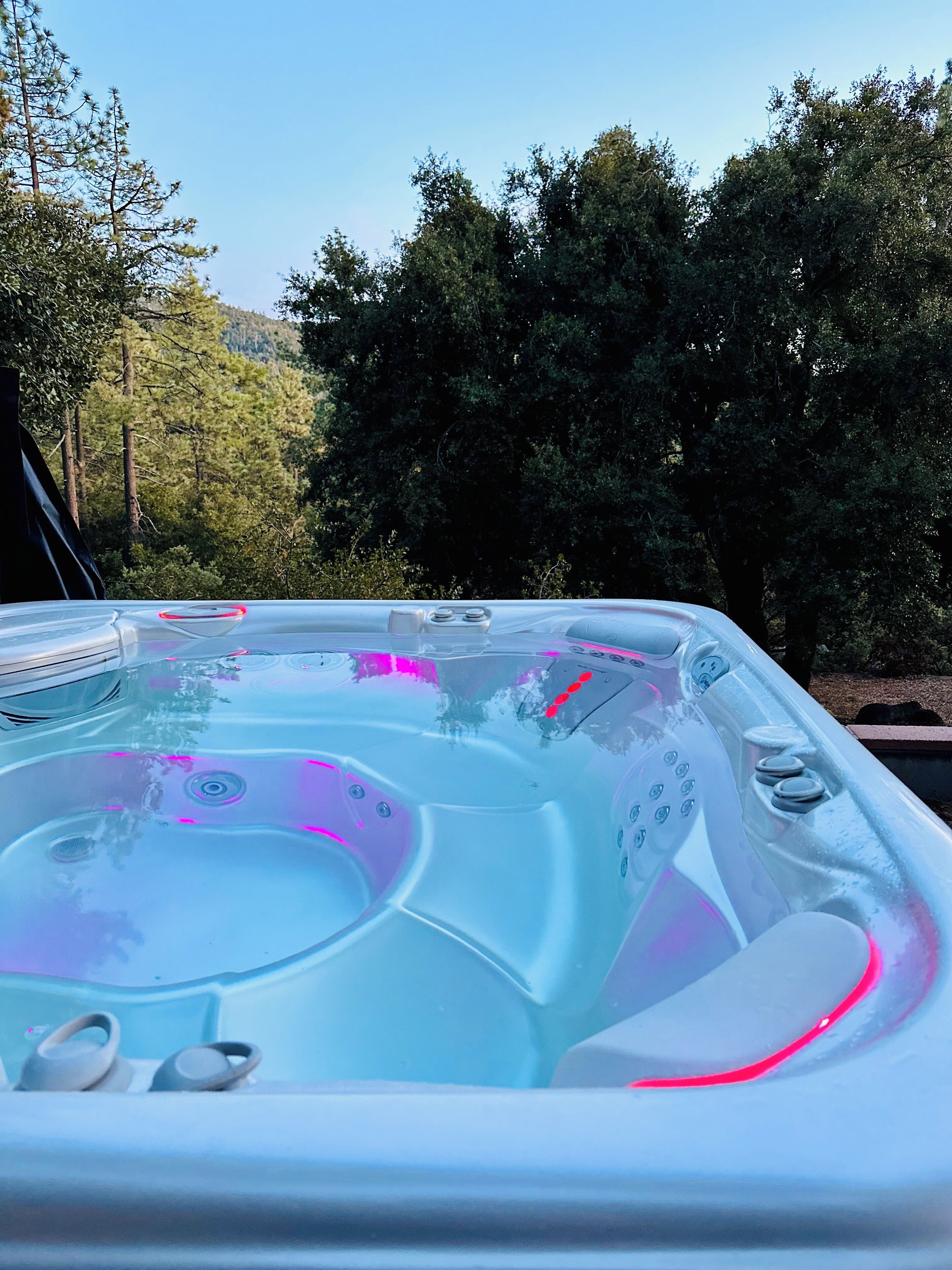 Een hottub met bedieningspaneel, omringd door bomen.