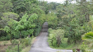 Área da propriedade