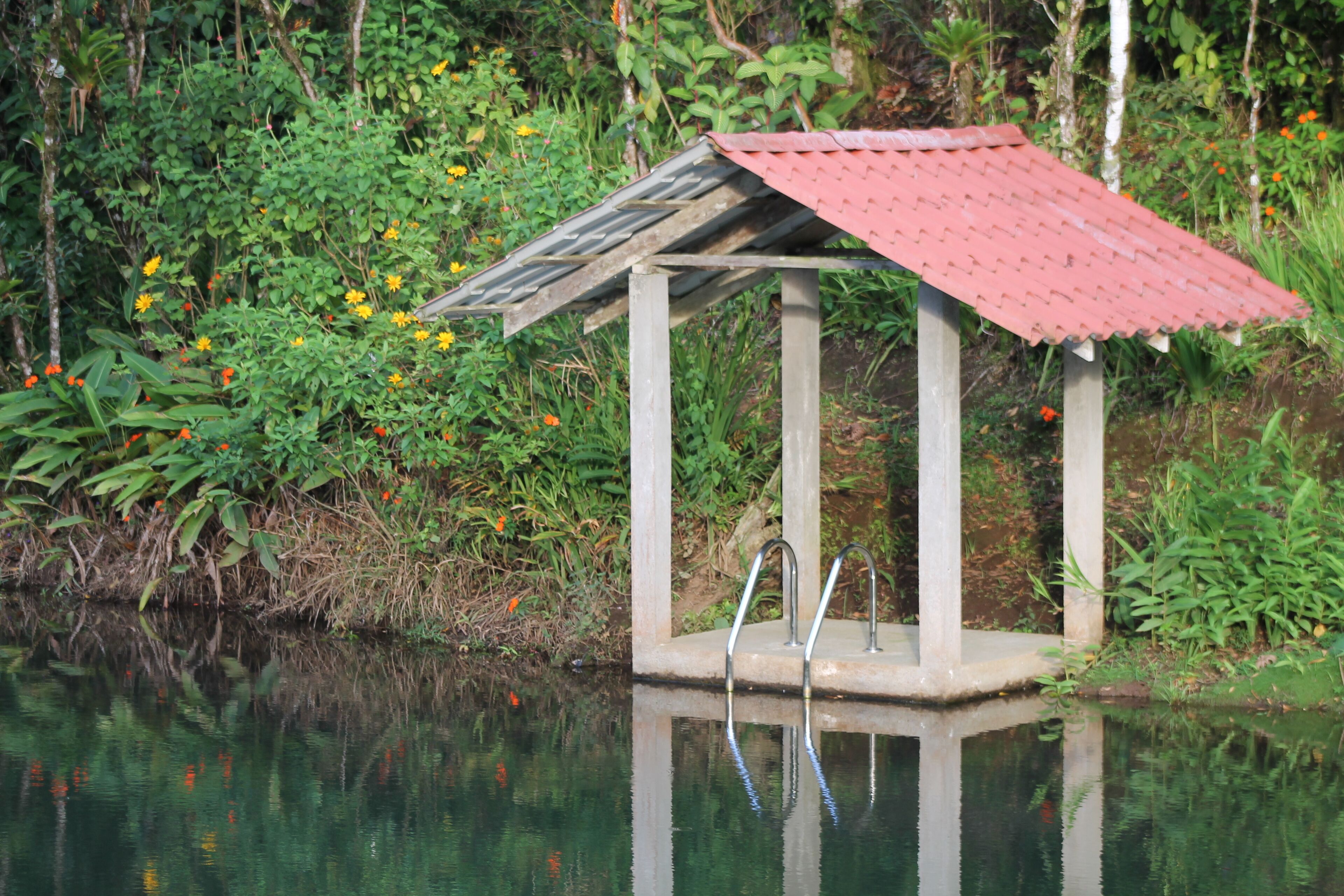 A small wooden structure with a red roof over a body of water, surrounded by lush greenery and various plants.