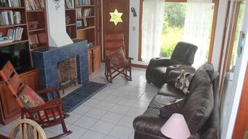 TV, lareira, DVD player, livros