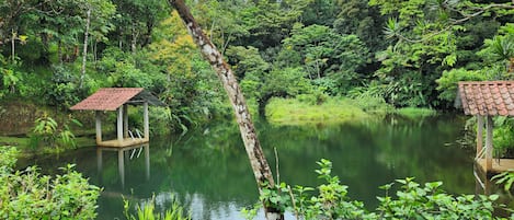 A tranquil pond with a gazebo and a small hut, surrounded by lush greenery.