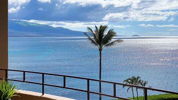 Een balkon met uitzicht op de oceaan en een palmboom.